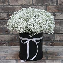 Цветочная композиция из Гипсофила в шляпной коробке в Двуреченске